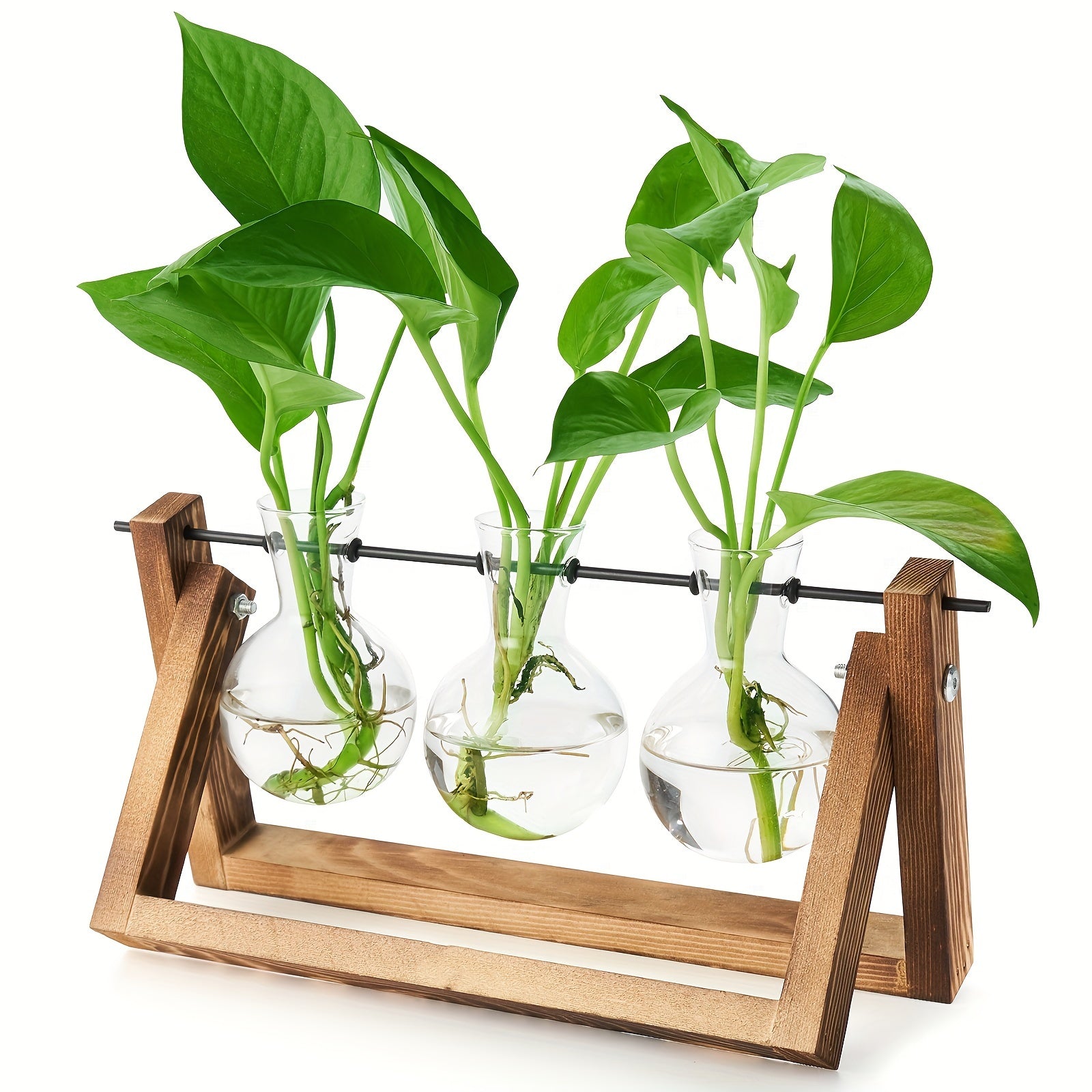 3 Glass Bulb Pots with Stand Set of 3 Glass Plant Containers with Wooden Stand - Glass Bulb Pots