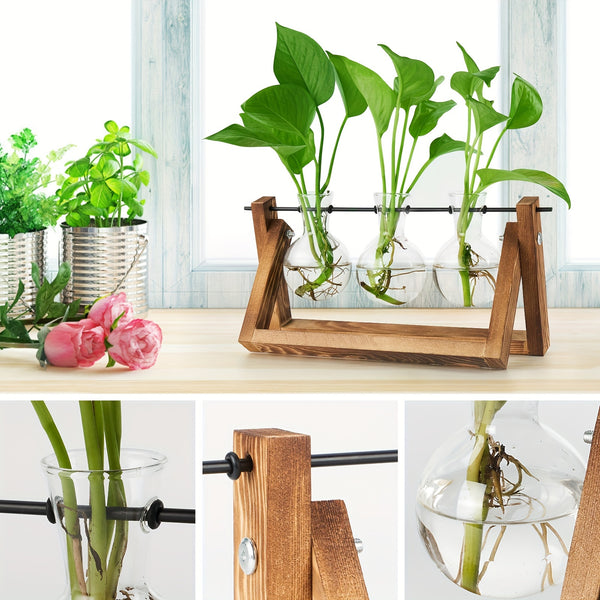 3 Glass Bulb Pots with Stand Set of 3 Glass Plant Containers with Wooden Stand - Glass Bulb Pots